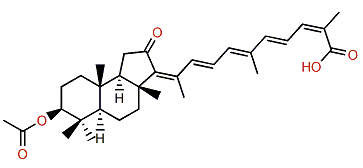 3-Acetoxy-12-oxo-13,15,17(20),22,24-isomalabaricapentaen-26-oic acid